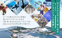 横浜・八景島シーパラダイス　ワンデーパス（水族館4施設＋アトラクション）大人2名さま