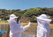 大倉山ハチミツ・季節の花蜜２本セット