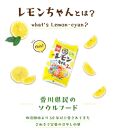 冷やし中華 生レモンちゃん 24食 ( 麺 100g & さわやかレモンスープ 40ml × 各24袋 )｜冷麺