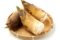 ＜先行予約＞【皮付き京都西山産】&nbsp;朝掘りたけのこ&nbsp;２kg（米ぬか付）【アドプランツコーポレーション】