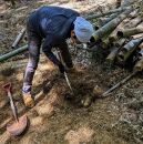 ＜先行予約＞【皮付き京都西山産】&nbsp;朝掘りたけのこ&nbsp;２kg（米ぬか付）【アドプランツコーポレーション】