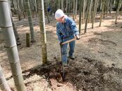 ＜先行予約＞【皮付き京都西山産】&nbsp;朝掘りたけのこ&nbsp;２kg（米ぬか付）【アドプランツコーポレーション】