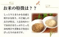 ※令和6年産 新米予約※【３ヶ月定期便】秋田県産おばこの匠あきたこまち　5kg （5kg×1袋）白米