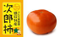 ＜先行受付＞次郎柿　約4kg【2025年11月上旬以降順次発送】