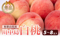 和歌山県産&nbsp;川中島白桃&nbsp;5～8玉入り&nbsp;秀品&nbsp;先行予約［2026年7月下旬以降発送］［MG7］