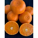 せとか家庭用&nbsp;3kg&nbsp;М～2Lサイズ&nbsp;混合&nbsp;　【マルシ農園】