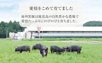 【鹿児島黒豚】ロース味噌漬け詰合せ（4556）