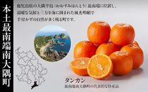 先行予約 南大隅の太陽浴びた甘くて・おいしい タンカン 5kg