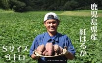 さつまいも 紅はるか 堀りたて 3kg ( 1箱 ) Sサイズ 新物 鹿児島県産 2024年12月末までに出荷