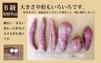 訳あり さつまいも 紅はるか 堀りたて5kg ( 1箱 ) 新物 鹿児島県産 2024年12月末までに出荷