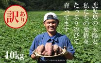 訳あり さつまいも 紅はるか 堀りたて 10kg (1箱 ) 新物 鹿児島県産 2024年12月末までに出荷