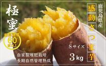 【鹿児島県産】 熟成 紅はるか 3kg (1箱 ) Sサイズ さつまいも