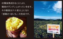 【鹿児島県産】 熟成 紅はるか 3kg (1箱 ) Sサイズ さつまいも