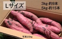 【鹿児島県産】熟成 紅はるか 5kg (1箱 ) Lサイズ さつまいも