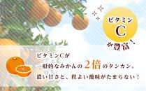 ≪2025年2月下旬以降発送≫先行予約 タンカン 10kg (サイズ指定不可) 数量限定