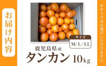 ≪2025年2月下旬以降発送≫先行予約 タンカン 10kg (サイズ指定不可) 数量限定