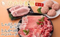 ひかり麦豚　しゃぶしゃぶ 食べ比べ + とんかつ肉 ＋ ハンバーグ セット