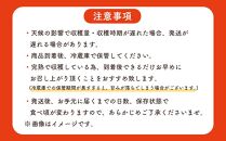 【先行予約】☆本土最南端☆佐多の果樹園で育てた 完熟アップルマンゴー 800g ( 2玉 )