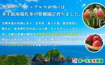 【先行予約】訳あり ☆本土最南端☆佐多の果樹園で育てた 完熟アップルマンゴー1kg (2～3玉) 家庭用