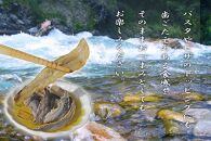 【和歌山県日置川産天然鮎使用】あゆチョビ 3個セット