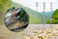 【和歌山県日置川産天然鮎使用】あゆチョビ 3個セット