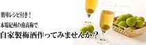 手作り梅酒セット【紀州南高梅・氷砂糖・ホワイトリカー】3点セット