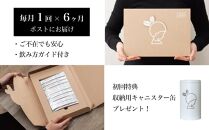 コーヒー スティック 【トップバリスタ賞賛】 INIC coffee 1番人気ブレンド 定期便 30杯/計6回 手軽に本格ドリップの味 粉末 珈琲 飲みやすい 苦味 コク 酸味 イニック