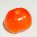 ［先行予約］富有柿（青秀以上２Ｌサイズ約１３個入り）［2025年11月下旬より順次発送］