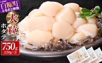 オホーツク産お刺身用ホタテ大サイズ（3S）【750g（250g×3パック）】