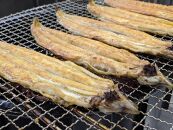 鰻 うなぎ 蒲焼き 1尾 約165g-180g