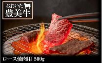 おおいた豊美牛 ロース焼肉用 500g _2168R