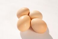 【定期便 全12回】大分うこっけい卵（生食用30個×12回）