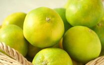 有田産極早生みかん約5kg（サイズ混合）★2026年10月中旬頃より順次発送［TM200］