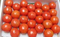 高知県高知市産 贅沢フルーツトマト 約2kg　＜2024年2月から発送＞