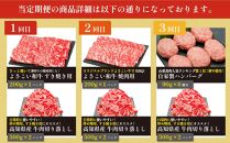 お肉の定期便　たっぷり牛肉尽くしセット(3か月)