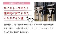 【大田原 前田牧場 ビーフカレー 200g×6袋 】ルゥがとろりと濃厚な高級カレー | ブランド牛 牛肉 カレーライス レトルト