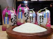 【廣瀬米穀店お米屋カフェ】グルテンフリー「米屋のお米パン」京都米セット
