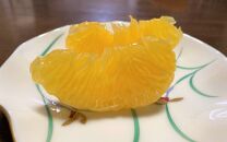 地元印南町産&nbsp;樹熟&nbsp;甘夏みかん&nbsp;約4kg（10個前後)　大玉L～2Lサイズ