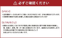 【定期便】4回の楽しみ 北海道 フルーツ 野菜＆ジンギスカン（R6年5月下旬から発送開始予定）_02170