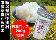 【令和6年度産新米】新潟県減農薬特別栽培米 そのまんま真空パック  900ｇ×12袋セット