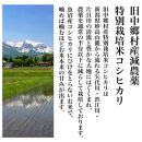 【令和6年度産新米】新潟県減農薬特別栽培米 そのまんま真空パック  900ｇ×12袋セット