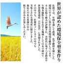 【令和6年度産新米】新潟県産コシヒカリ そんまんま真空パック 食べ比べセット 900g×5種