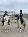 【乗馬クラブアトラス】 乗馬体験3ヶ月体験コース（初級・経験者コース）