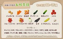 江藤農園おすすめ 湯布院の旬の野菜（12～15種類！）詰め合わせ