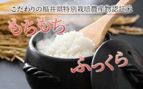  令和5年産 ミルキークイーン 精米 5kg  特別栽培米 農薬不使用 化学肥料不使用 ／ 高品質 鮮度抜群 福井県産 ブランド米 白米 あわら産 ブランド米 こめ お米