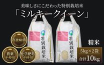 【先行予約】【令和7年産 新米】 ミルキークイーン 精米 5kg×2袋 （計10kg） 特別栽培米 農薬不使用 化学肥料不使用 ／ 高品質 鮮度抜群 福井県産 ブランド米 ※2025年10月上旬以降順次発送