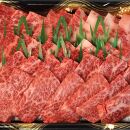 神戸牛　もも・かた　赤身　焼肉　モモ、カタ　600g