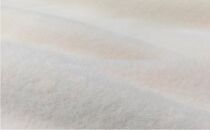【ダブルサイズ】贅沢タッサーシルク100%(毛羽部分)毛布 180×200cm　SILK-W