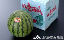【期間限定】八色西瓜（大玉 Lサイズ) ×1玉