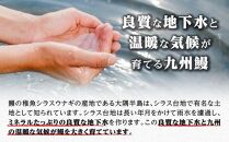 鹿児島県大隅産 うなぎ備長炭手焼蒲焼３尾(合計450g以上)